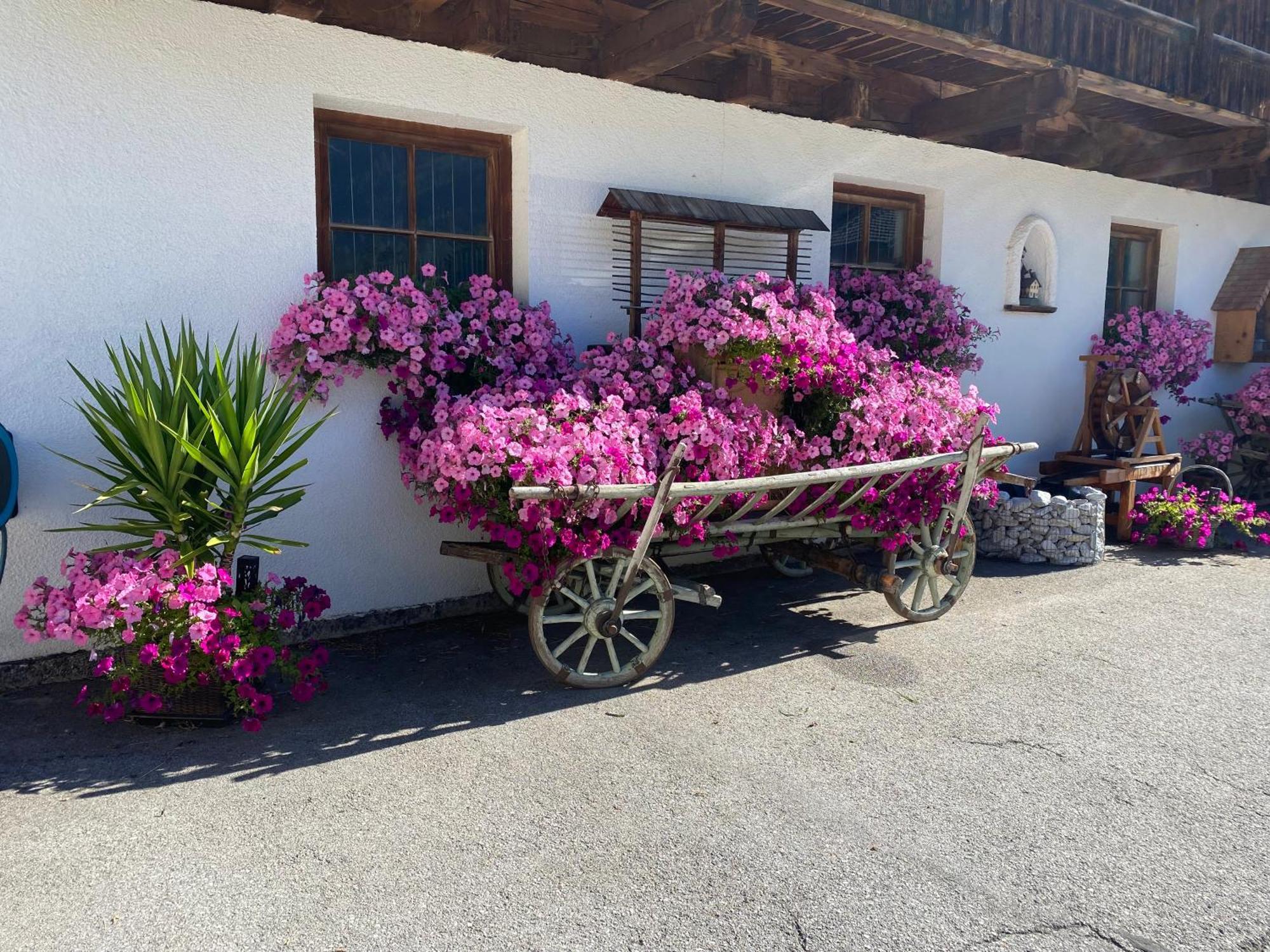 Gaestepension Klammer Kartitsch Bagian luar foto