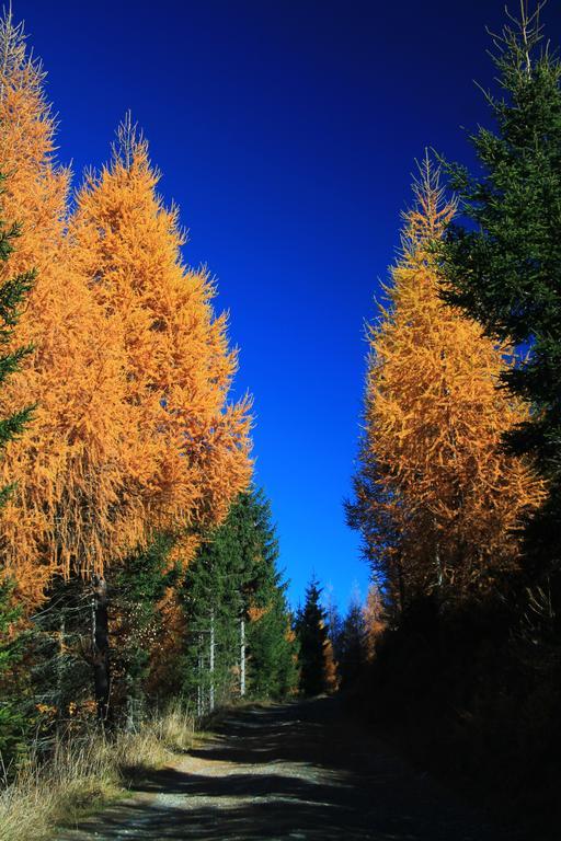 Gaestepension Klammer Kartitsch Bagian luar foto