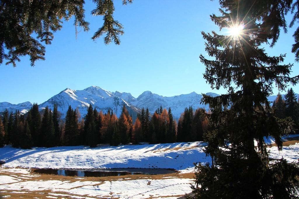 Gaestepension Klammer Kartitsch Bagian luar foto