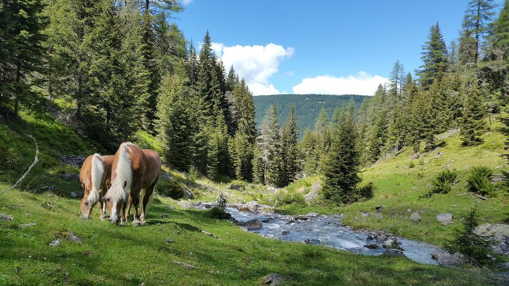 Gaestepension Klammer Kartitsch Bagian luar foto
